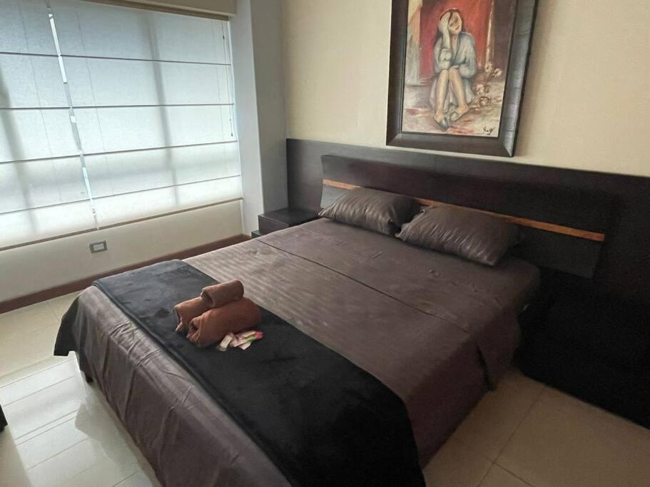 Suite 211 Quito Dış mekan fotoğraf